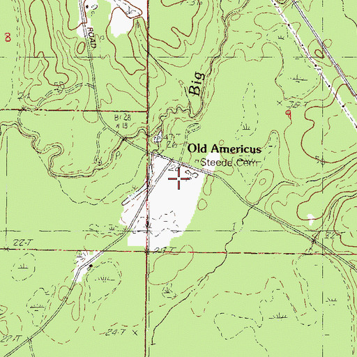 Topographic Map of Old Americus, MS