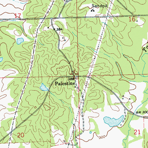 Topographic Map of Palestine, MS