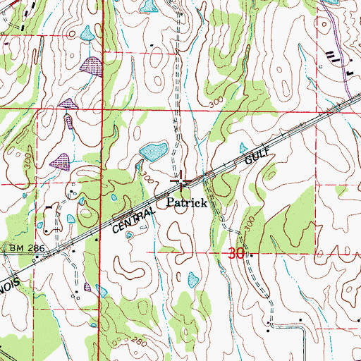 Topographic Map of Patrick, MS