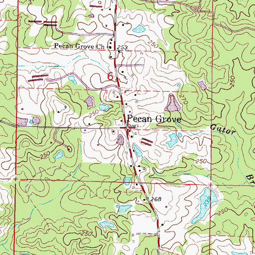 Topographic Map of Pecan Grove, MS