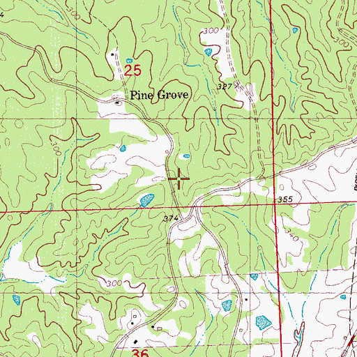 Topographic Map of Pine Grove, MS