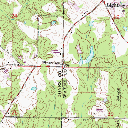Topographic Map of Pineview, MS