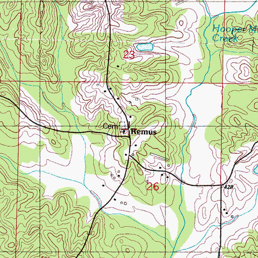 Topographic Map of Remus, MS