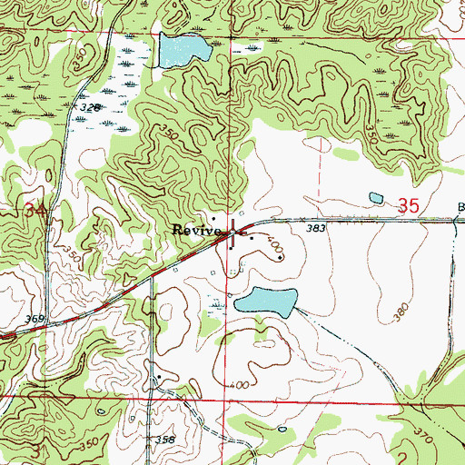 Topographic Map of Revive, MS