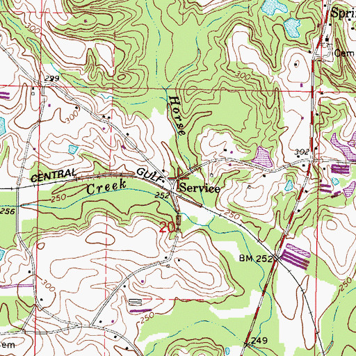 Topographic Map of Service, MS