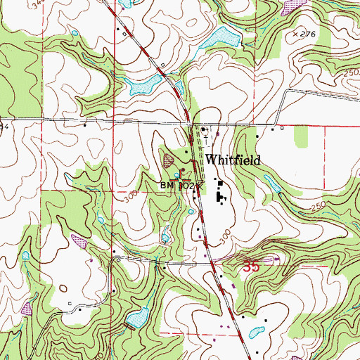 Topographic Map of Whitfield, MS