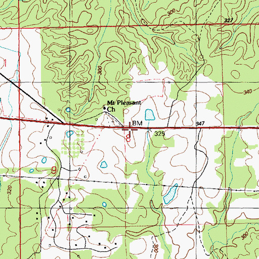 Topographic Map of Mount Pleasant, MS