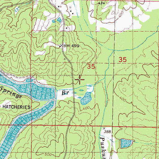 Topographic Map of Bay Springs Branch, MS