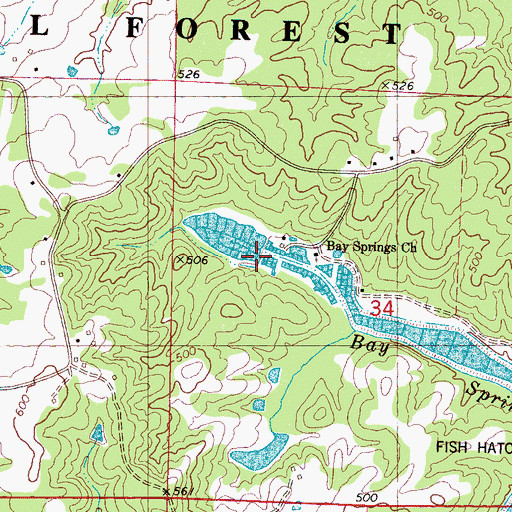 Topographic Map of Bay Springs Church, MS