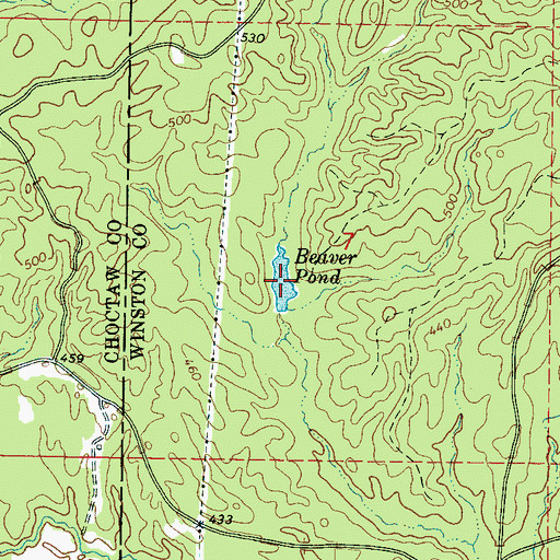Topographic Map of Beaver Pond, MS
