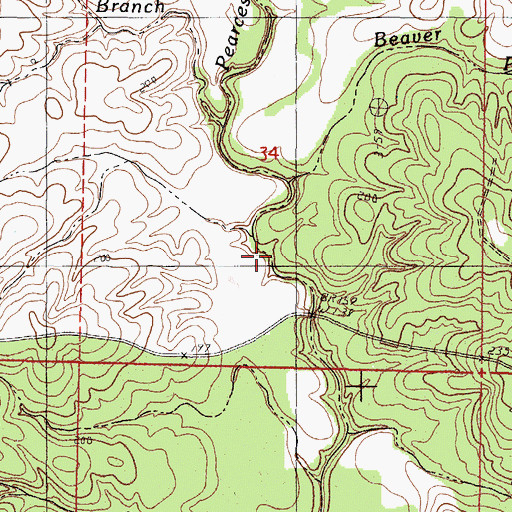 Topographic Map of Beaver Pond Creek, MS