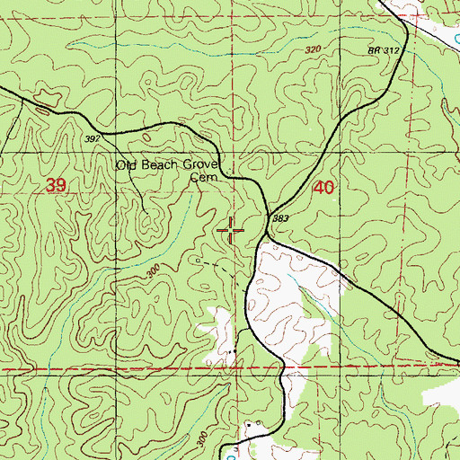 Topographic Map of Beech Grove Church, MS