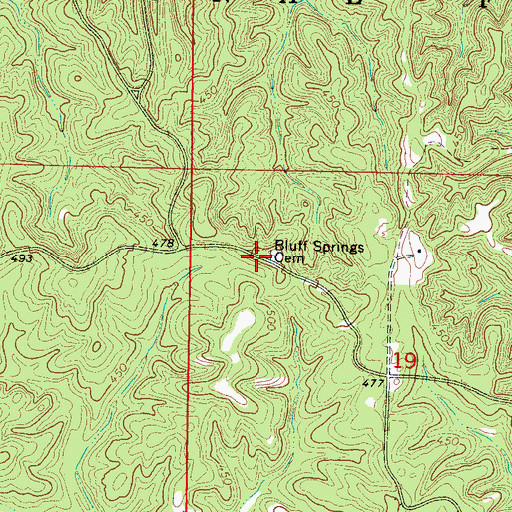 Topographic Map of Bluff Springs Cemetery, MS