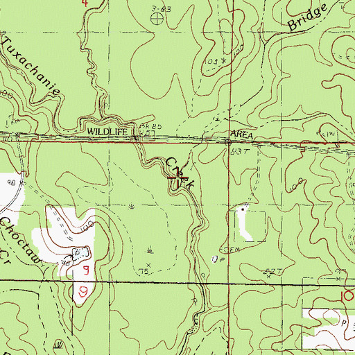 Topographic Map of Bridge Branch, MS