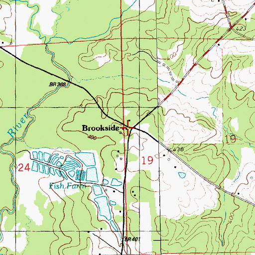 Topographic Map of Brookside, MS