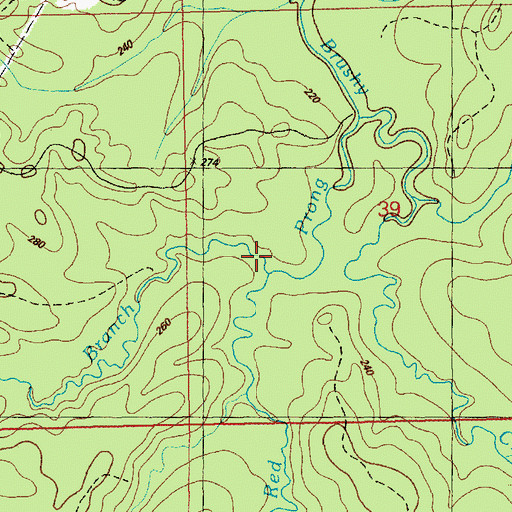Topographic Map of Brown Branch, MS