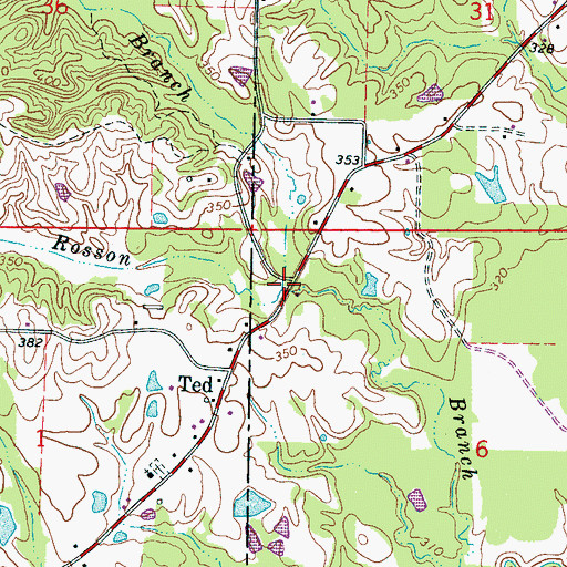 Topographic Map of Buchanan Branch, MS