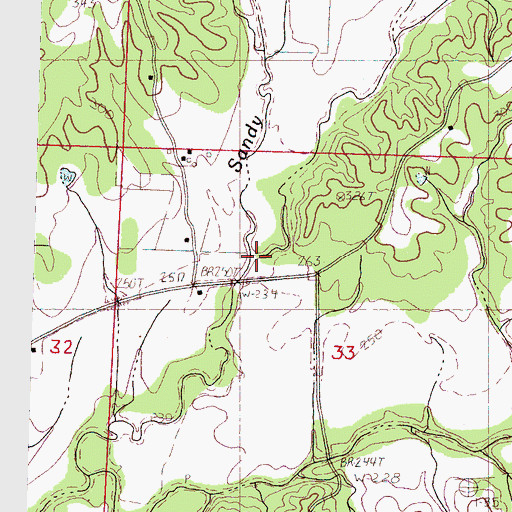 Topographic Map of Burkhalter Creek, MS