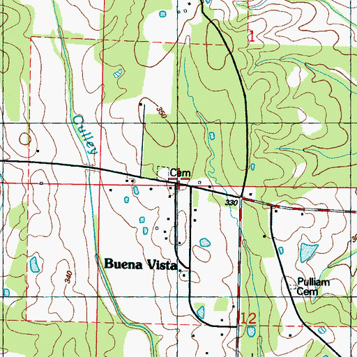 Topographic Map of Buena Vista, MS