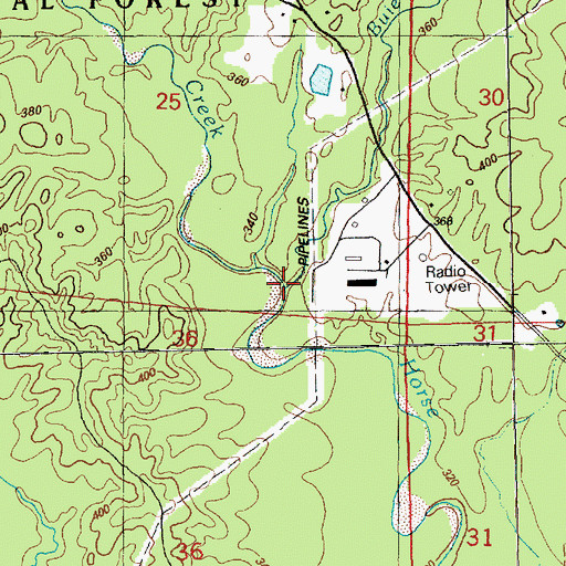 Topographic Map of Buie Branch, MS