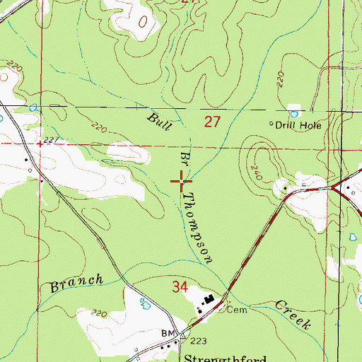 Topographic Map of Bull Branch, MS