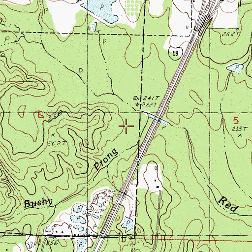 Topographic Map of Bushy Prong, MS