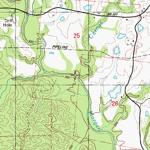 Topographic Map of Carnes Branch, MS