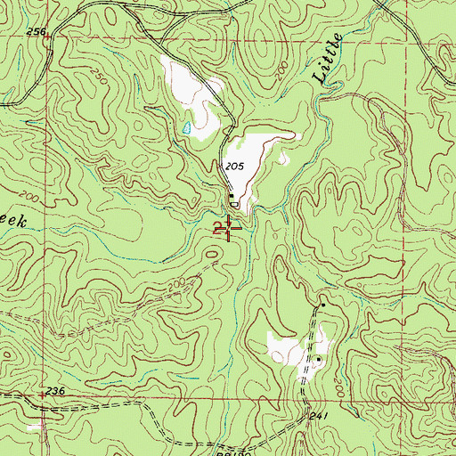 Topographic Map of Cary Creek, MS
