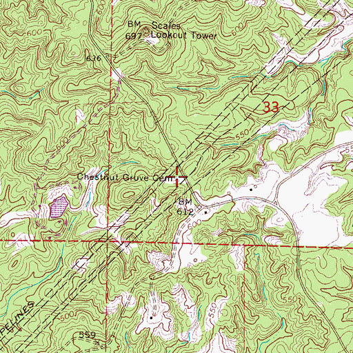 Topographic Map of Chestnut Grove Cemetery, MS