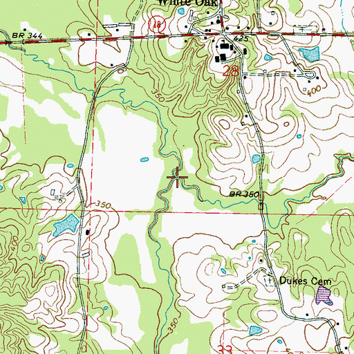Topographic Map of Coon Creek, MS
