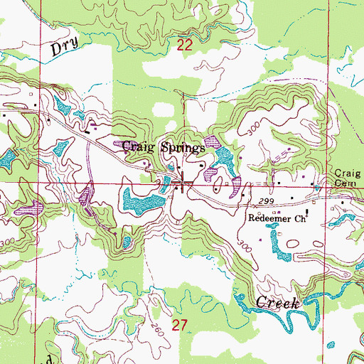 Topographic Map of Craig Springs, MS