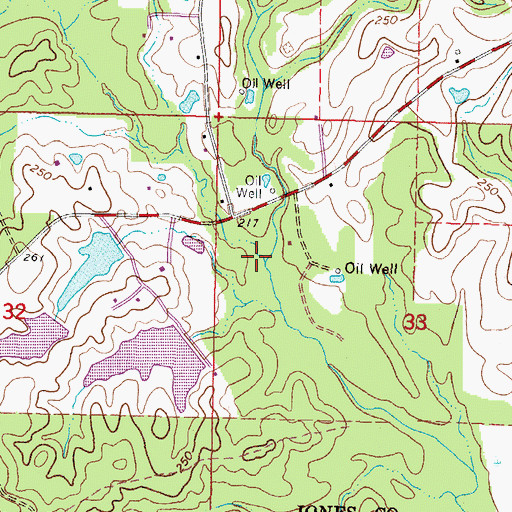 Topographic Map of Dry Prong, MS