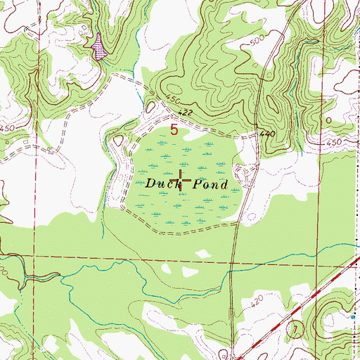 Topographic Map of Duck Pond, MS