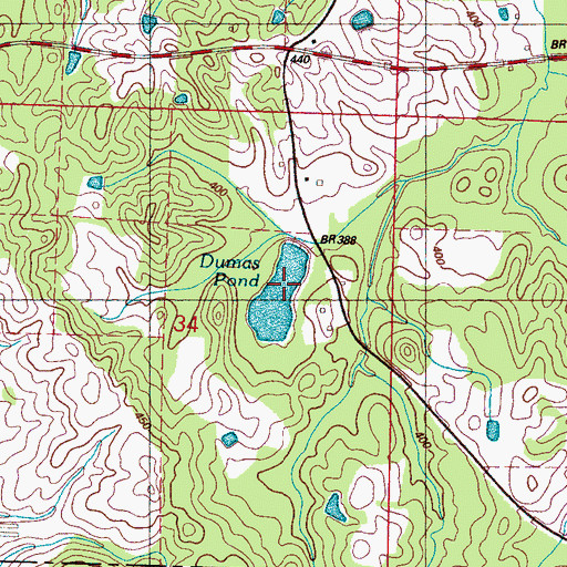 Topographic Map of Dumas Pond, MS