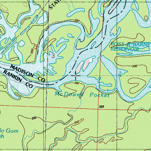 Topographic Map of Fannegusha Creek, MS