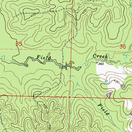 Topographic Map of Field Creek, MS