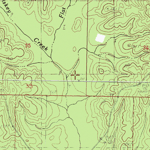 Topographic Map of Flat Branch, MS