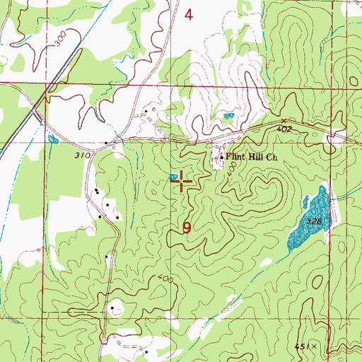 Topographic Map of Flint Hill School, MS