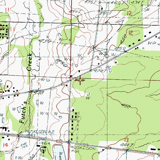 Topographic Map of Forest School, MS