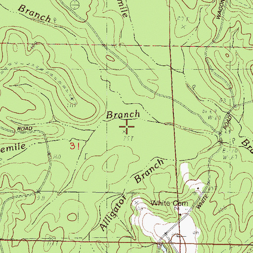 Topographic Map of Fourmile Branch, MS