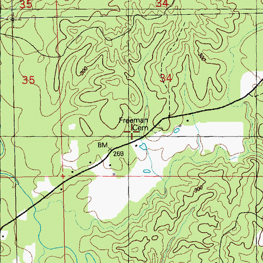 Topographic Map of Freeman Cemetery, MS