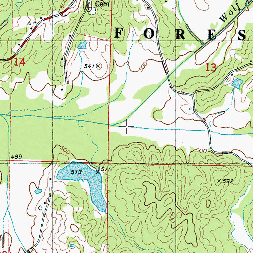 Topographic Map of Goose Creek, MS