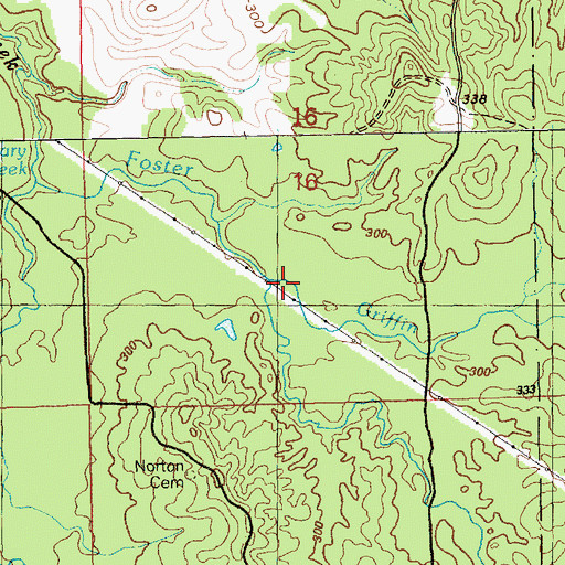 Topographic Map of Griffin Branch, MS
