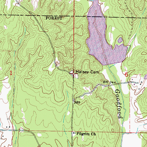 Topographic Map of Halsey Cemetery, MS