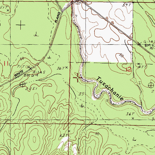 Topographic Map of Hog Branch, MS