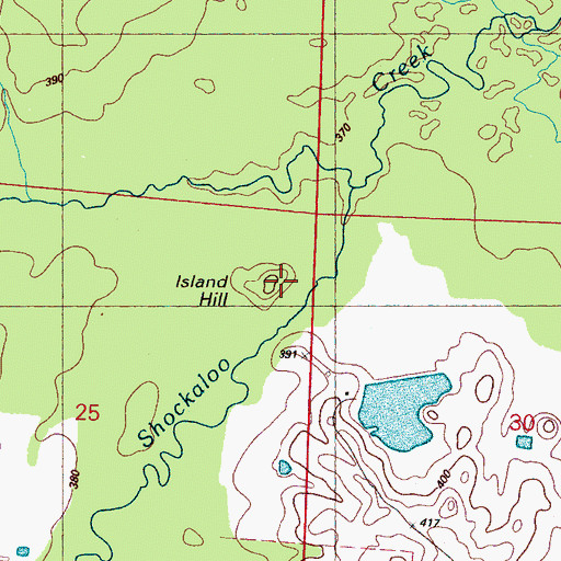 Topographic Map of Island Hill, MS