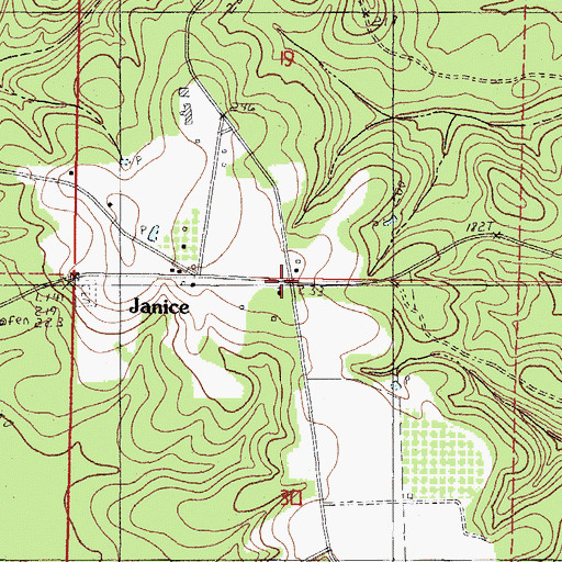 Topographic Map of Janice, MS