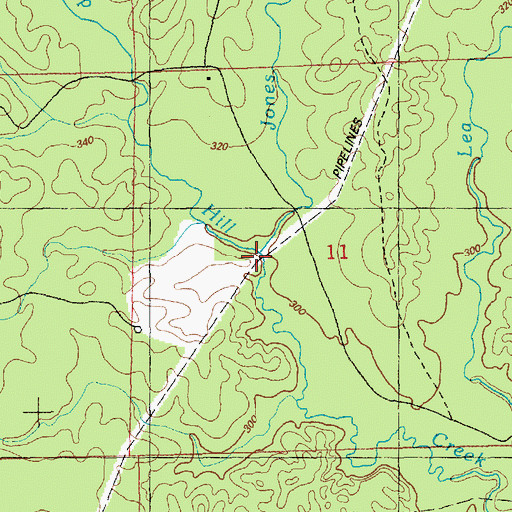 Topographic Map of Johns Creek, MS