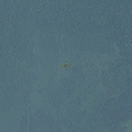Aerial/Satellite Image of Jones Creek, MS