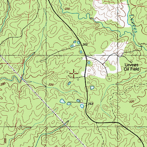 Topographic Map of Levees Oil Field, MS